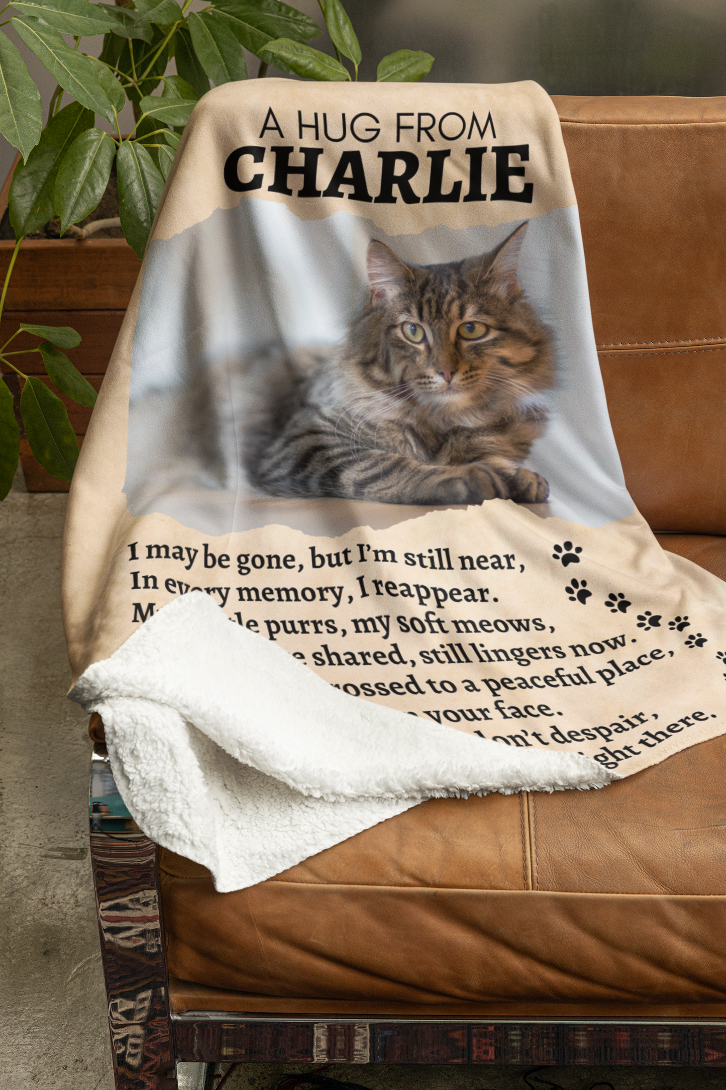 A Hug From Your Beloved Cat Memorial Blanket